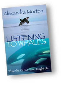 Siwiti A Whales Story