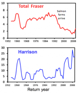 fraser-harrison-graphs